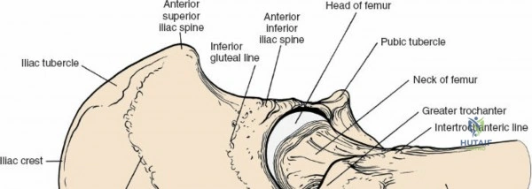 Clinical Image