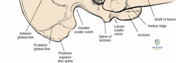 Clinical Image