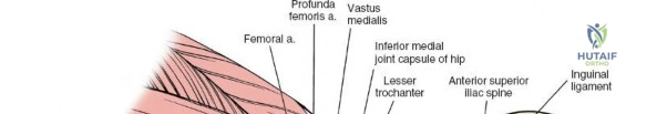 Clinical Image