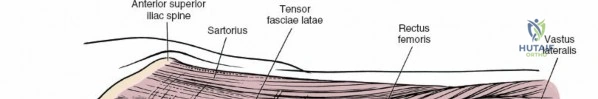 Clinical Image