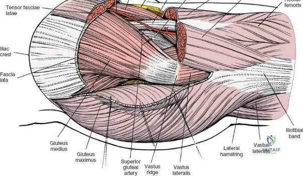 Clinical Image