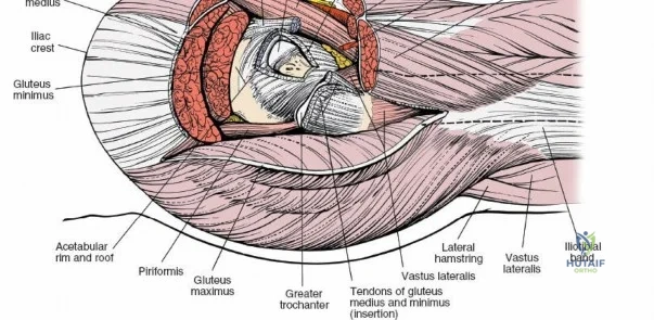 Clinical Image