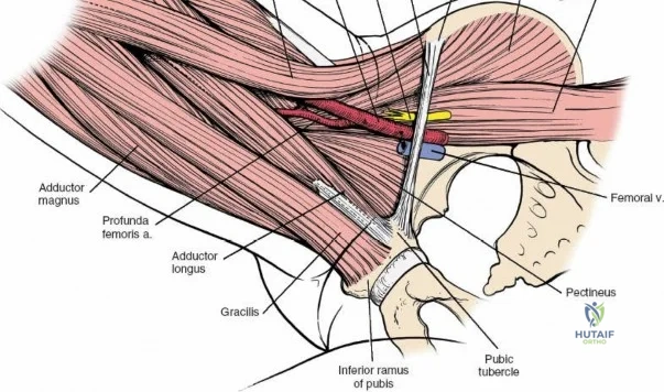 Clinical Image