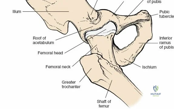 Clinical Image