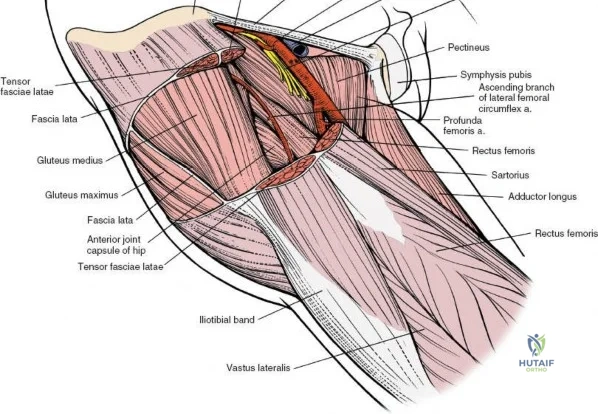 Clinical Image