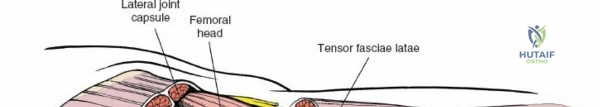 Clinical Image