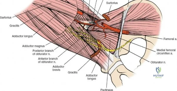Clinical Image