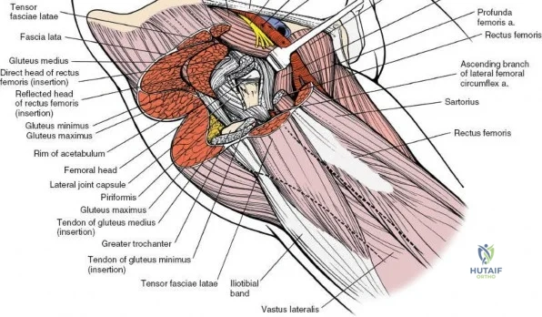 Clinical Image