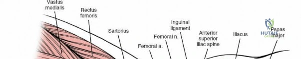 Clinical Image