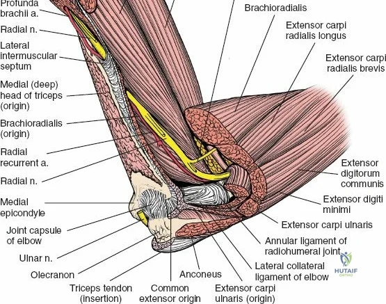 Clinical Image