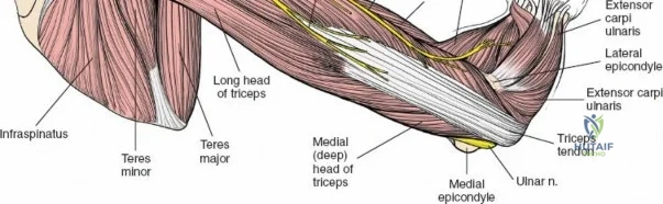 Clinical Image