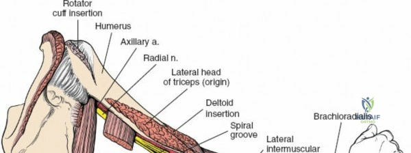 Clinical Image