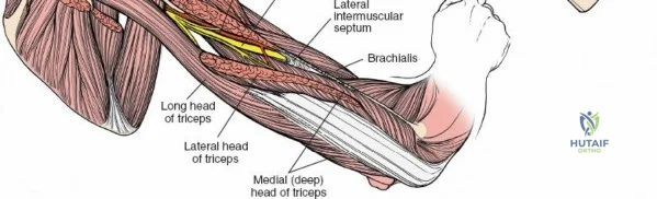 Clinical Image