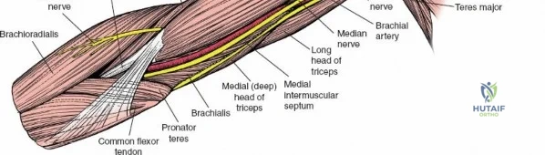 Clinical Image