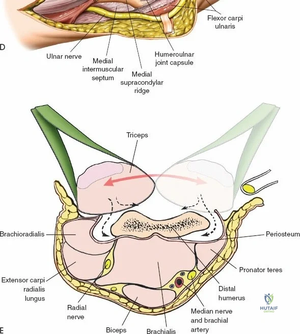 Clinical Image