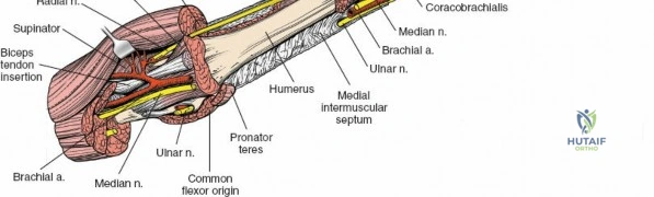 Clinical Image