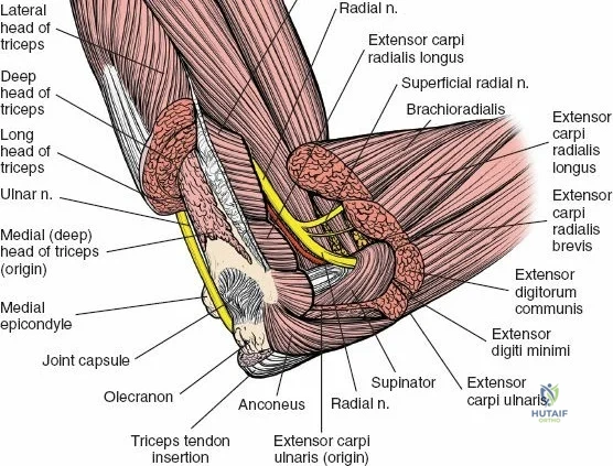 Clinical Image