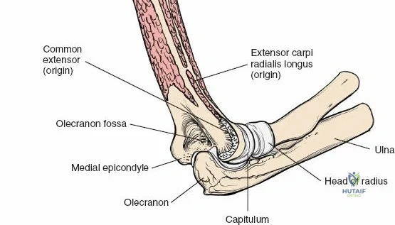Clinical Image
