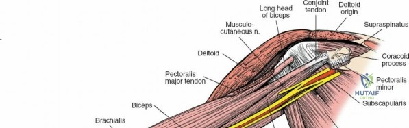 Clinical Image