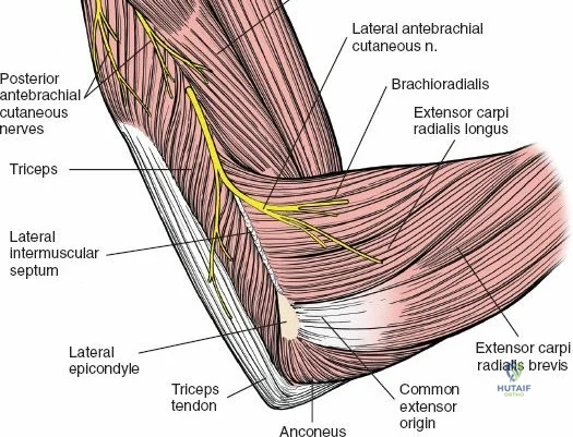 Clinical Image