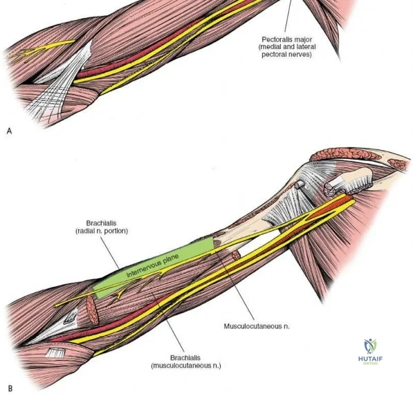 Clinical Image