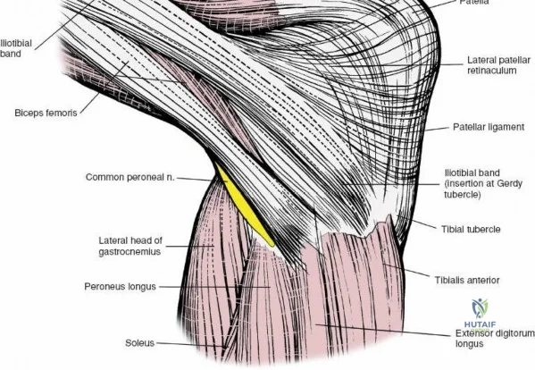 Clinical Image