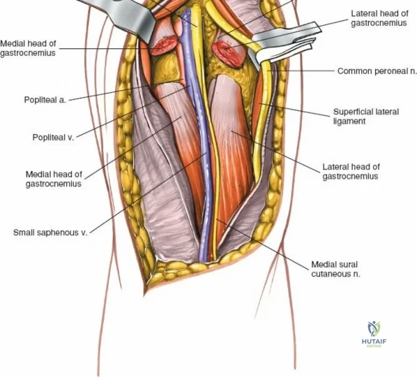 Clinical Image