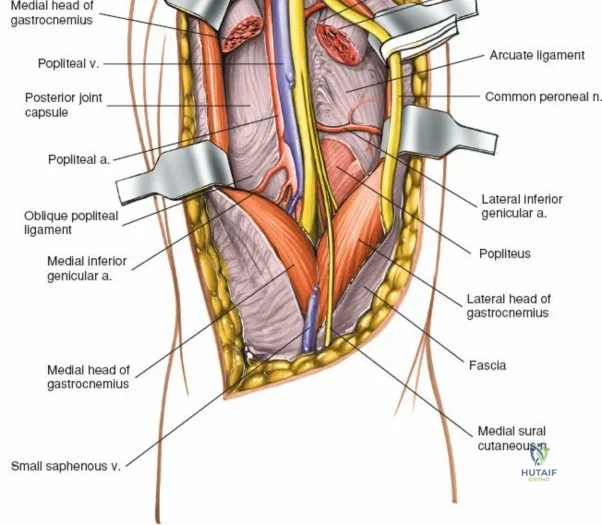 Clinical Image