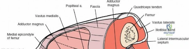 Clinical Image
