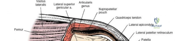 Clinical Image