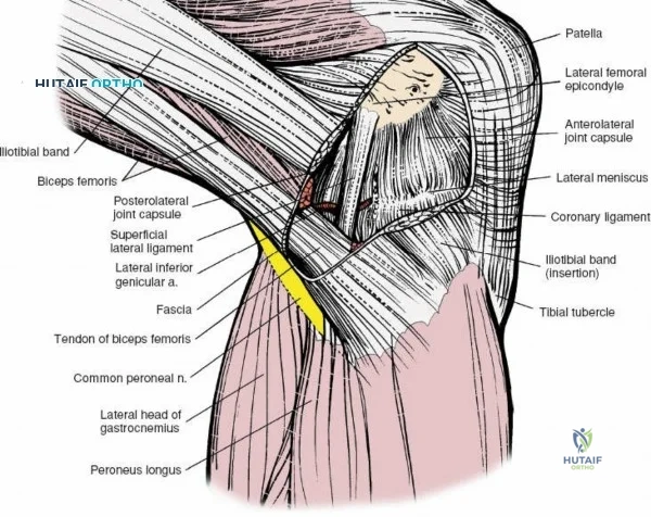 Clinical Image