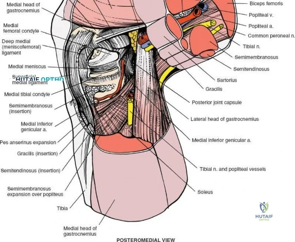 Clinical Image