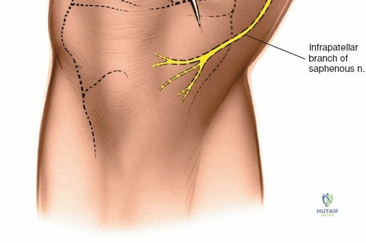 Clinical Image