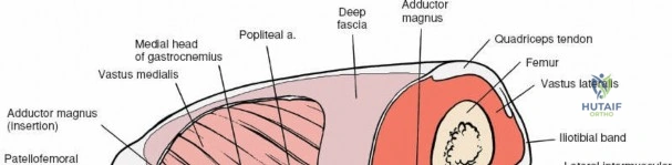 Clinical Image