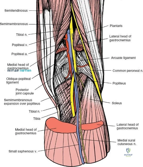 Clinical Image