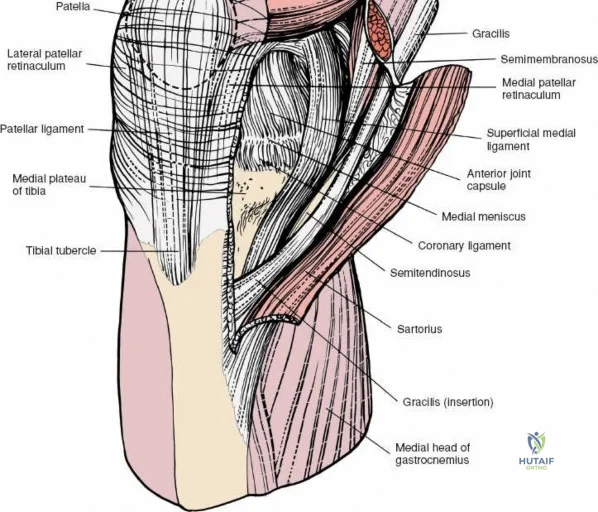Clinical Image