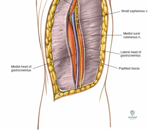 Clinical Image