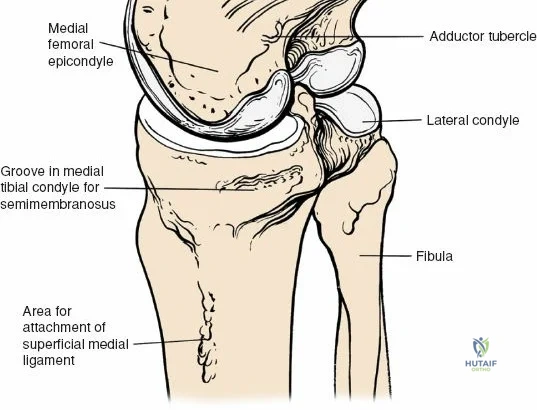 Clinical Image