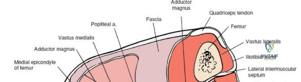 Clinical Image