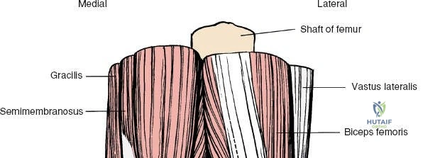 Clinical Image