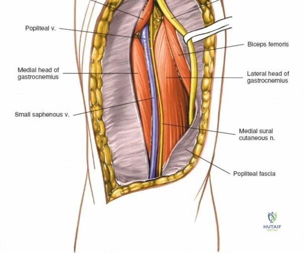 Clinical Image