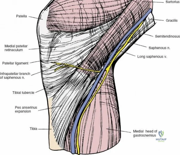 Clinical Image