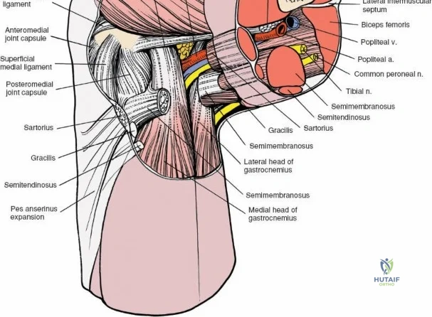 Clinical Image