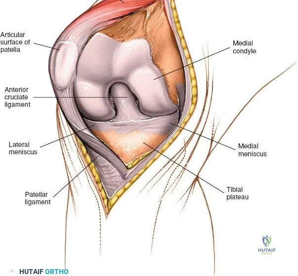 Clinical Image