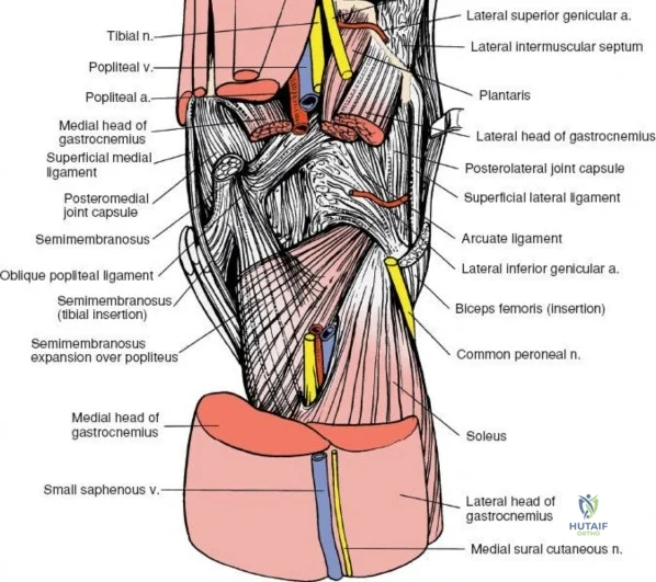 Clinical Image