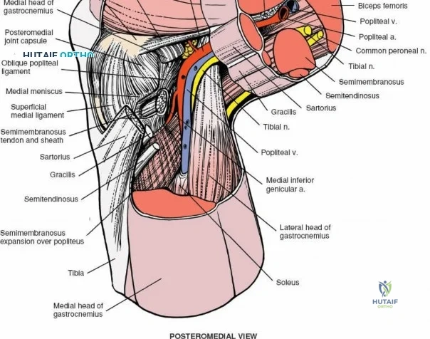 Clinical Image