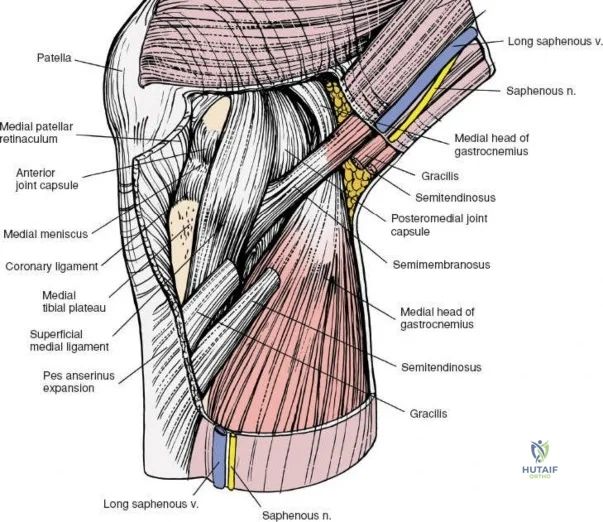 Clinical Image