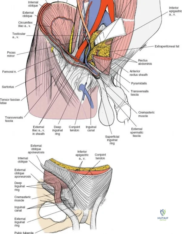 Clinical Image