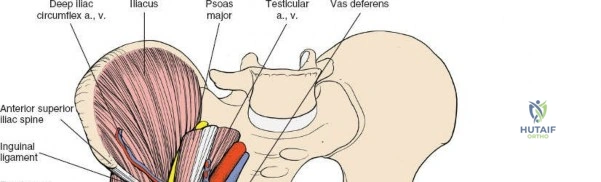 Clinical Image