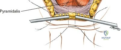 Clinical Image